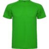 T-Shirt Tecnica Raglan - Verde Felce