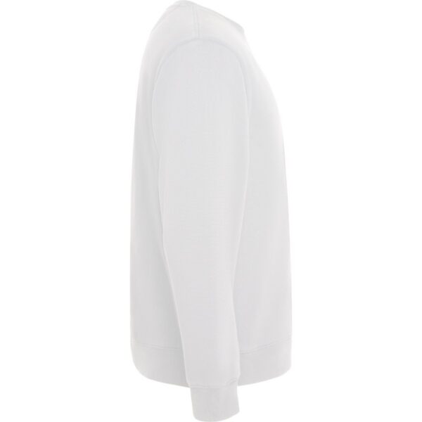 Felpa Girocollo 300 g - Bianco vista 3