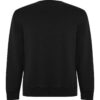 Felpa Girocollo 300 g - Nero