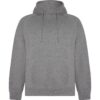 Felpa con Cappuccio 300 g - Grigio Vigore
