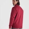 Felpa Mezza Zip Collo Alto - dettaglio 1