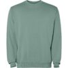 Felpa Girocollo Effetto Lavato - Duck Green Wash