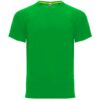 T-Shirt Tecnica Raglan - Verde Felce