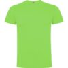 T-Shirt Classic 165 g - Verde Oasis