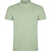 Polo Classica in Cotone - Verde Mist